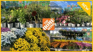 🌸Home Depot Updated Garden Center | Browse with Me #homedepotgarden #shopwithme #windowshopper22💕