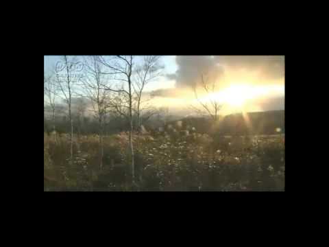 Lunasa - Morning Nightcap