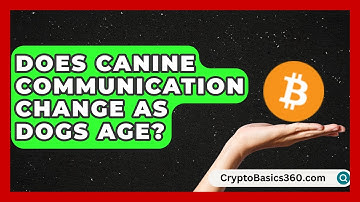 Does Canine Communication Change as Dogs Age? | Obedient Dog Guide
