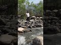 #lovenaturesbeauty #youtubeshorts