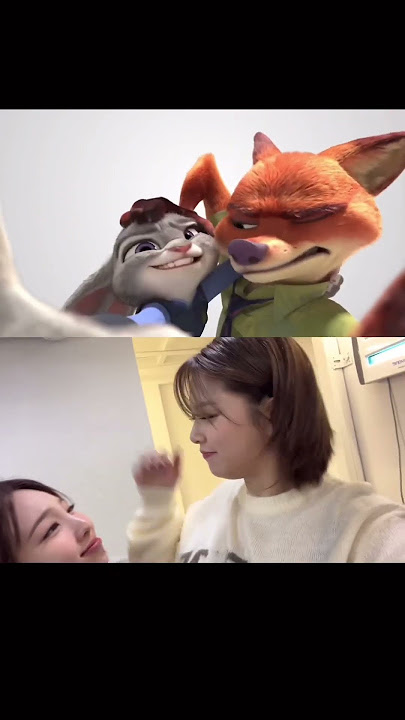 Nick🦊 and Judy🐰 of #TWICE #트와이스 #nickandjudy