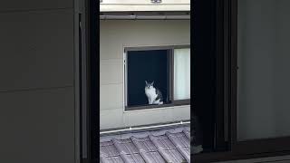 IMG 5781 IMG 5781