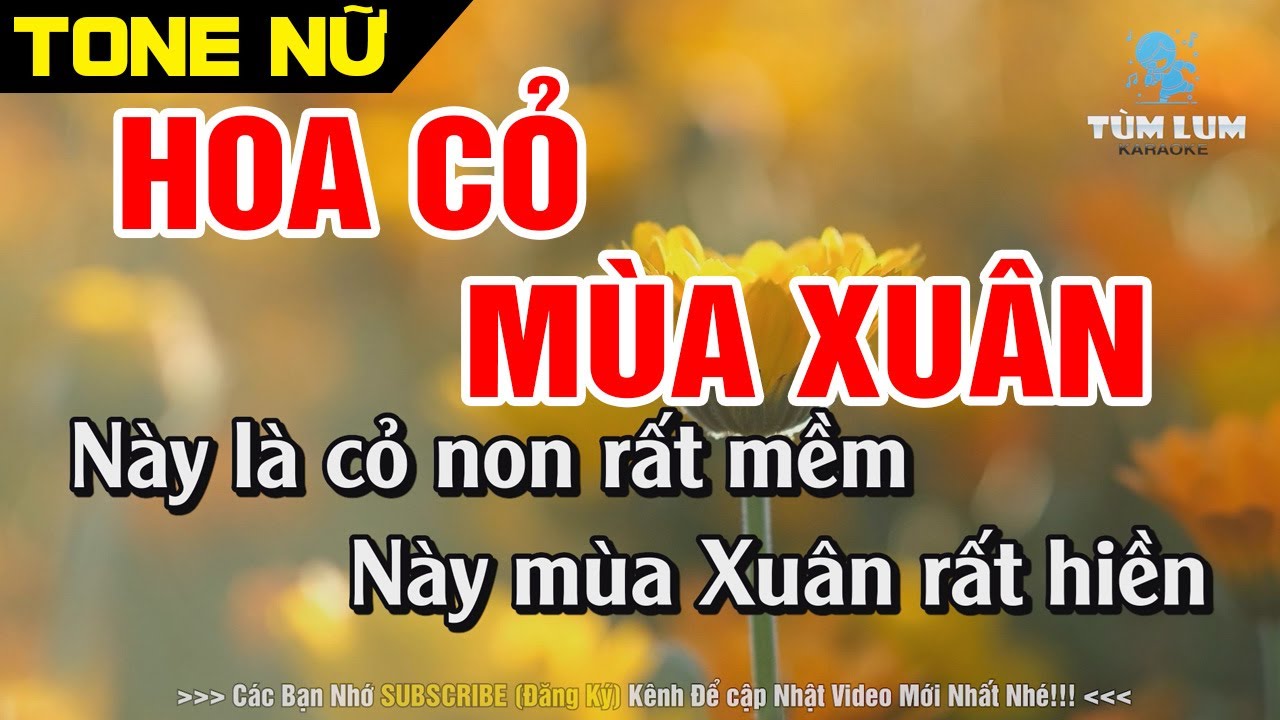 Hoa Cỏ Mùa Xuân Karaoke Nhạc Sống - Tone Nữ [ G# ] (beat chuẩn 2026)