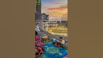 أرح سمعك تلاوة هادئة جداً ورائعة جداً للقارئ عبدالرحمن مسعد تلاوة تفيض جمالا 😴😴😴😴😴