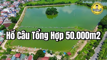 Câu Cá ở Hồ Câu Bán Tự Nhiên tại Bắc Giang