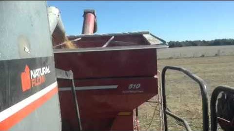 Unloading on the go #gleaner