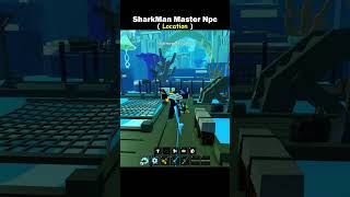 Sharman Master Location In Third Sea In Blox Fruits Roblox