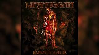 Meshuggah