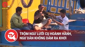 Bình Thuận: Trộm ngư lưới cụ hoành hành, ngư dân không dám ra khơi | Truyền hình Quốc hội Việt Nam