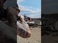لماذا كادت بنادق الصيد أن ت حظر في الحرب العالمية الأولى