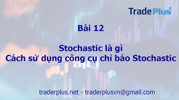 [Trader Plus] - Bài 12 - Stochastic là gì - Hướng dẫn cách sử dụng công cụ chỉ báo stochastic