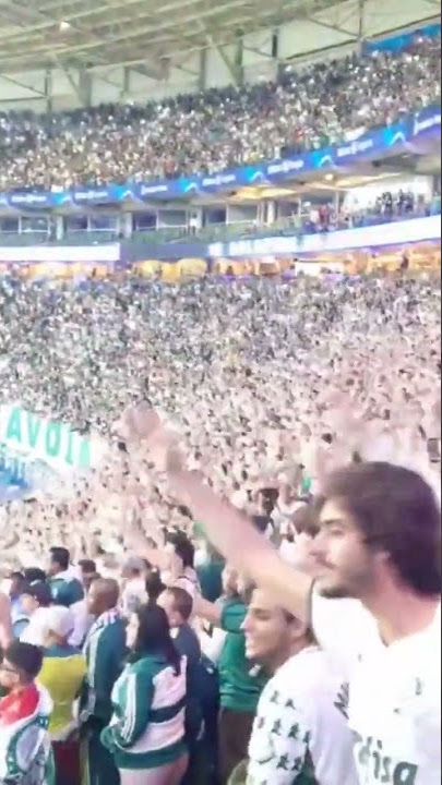 Mancha Verde Botucatu - Somos a Mancha Verde, a mais temida Sigo o meu  Palmeiras por toda a vida Vamos jogar com raça os Jogadores Para ganhar a  taça Libertadorees, Libertadoreeeees ! #