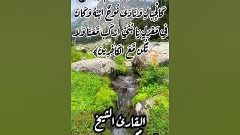 ونادى نوح ابنه ، تلاوة رائعة ومؤثرة جداً ،  مقتطفات من صلاة التراويح ليلة 15 رمضان 1443 هجري.