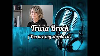 You Are My Shepherd By Tricia Brock Song Cover Popnw Blog