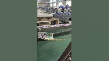 Double twist wrapping machine,candy packaging machine,chocolate wrapping machine,automatic system