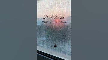 كلا بل تكذبون بالدين | القارئ الشيخ محمد صديق المنشاوي