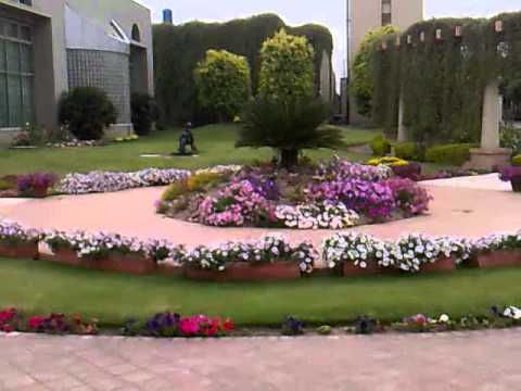My design garden in season pakistan lahore My design garden in season pakistan lahore