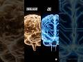 AI और इंसान में सबसे बड़ा फर्क क्या है?#shorts #ai #human