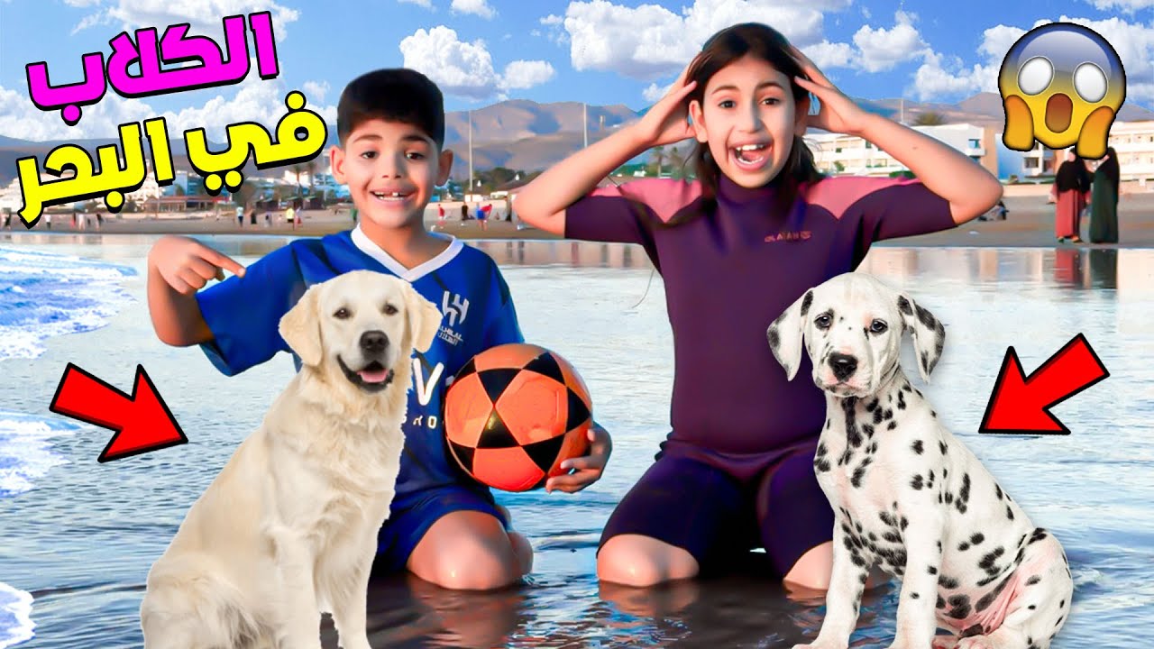اخيرا.اخدنا الكلاب روكي وديانا للبحر🐶🌊سبحوا فالاعماق وصيدوا الاسماك🐟( حمقونا )