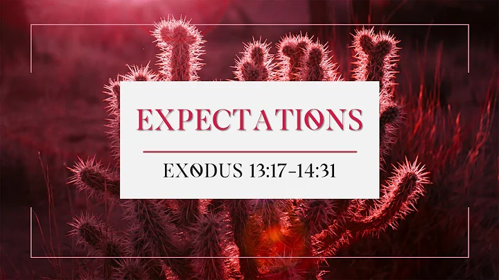 EXPECTATIONS (EXODUS 13:17-14:31)