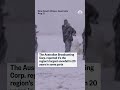 Kangaroo hops through rare snowball in southeast Australia