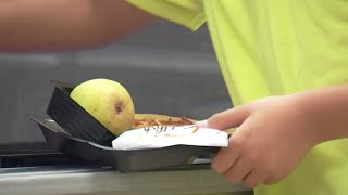 Pandemic school lunch program to expire