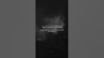 #آمن_الرسول_بما_انزل_اليه_من_ربه_والمؤمنون🌿#سورة_البقرة #قرآن #اسلام_صبحي #المصحف #اكسبلور