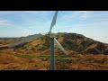 Whales, windturbines and vineyards