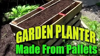 Took some free wood pallets and used some Harbor Freight tools to build a simple planter to hold garden plants and flowers. 