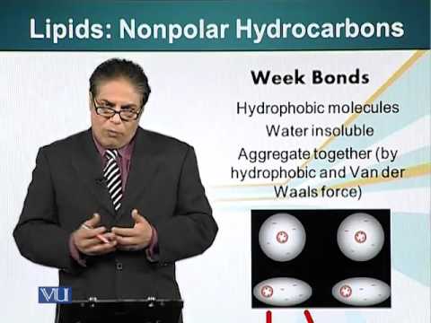 BIO201_Topic009