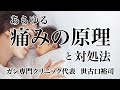 あらゆる痛みの原理と対処法