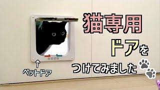 猫専用ドアをつけてみました。【元野良猫】