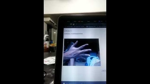 Tensorflow Javascript Image Classifier Live Trained