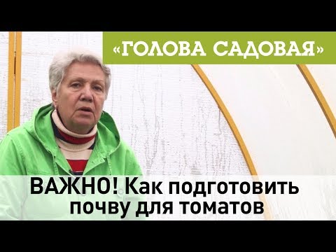 Голова садовая - ВАЖНО! Как подготовить почву для томатов