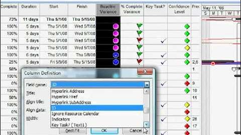 Microsoft Project  Using Graphical Indicators   YouTube
