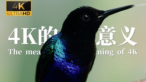 【影视飓风】4K演示片——画质提升了！