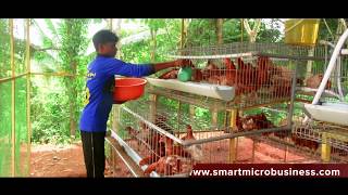 Smart Mini poultry cages system