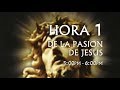 01 de 24 I Horas de la Pasión de Jesús, Luisa Piccarreta, Divina Voluntad.