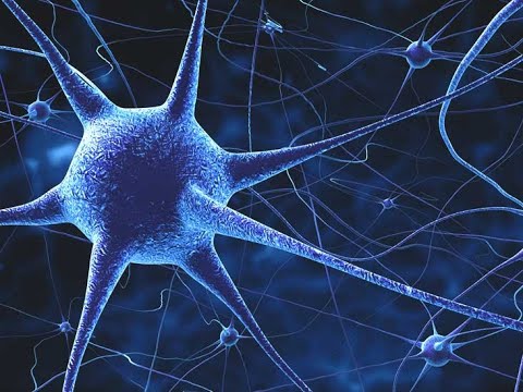 Resilience with MS