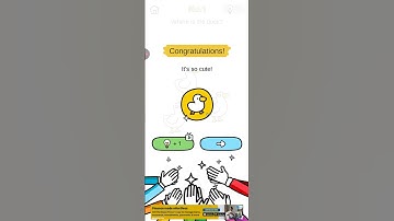 Brain out crazy find level 1 completed ll where is duck #games #brainoutlive