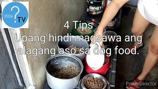 4 Tips para hindi magsawa sa dog food ang alagang aso