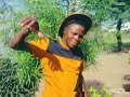 NYANDA MAZULI FT NG WANA NDELEMA SONG MAISHS YASS RECOD 0760484322