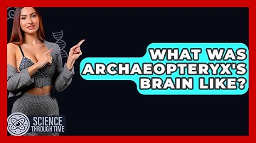 What Was Archaeopteryx