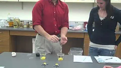Lindsay Haller's science lesson