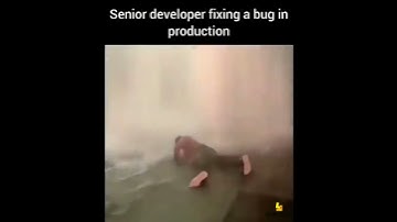 Coding comedy memes || #shortsfeed #shorts #youtubeshorts