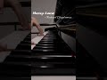Marriage d'amour - Richard Clayderman || #piano #richardclayderman #relaxing #pianomusic