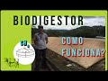 Geração Distribuída - Como funciona um biodigestor (biorreator)?