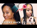 ✨How to Go From Straight to Curly Hair | How To Revert Curls Back!