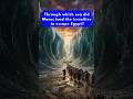 Bible Trivia Question 4 #biblequiz #shorts