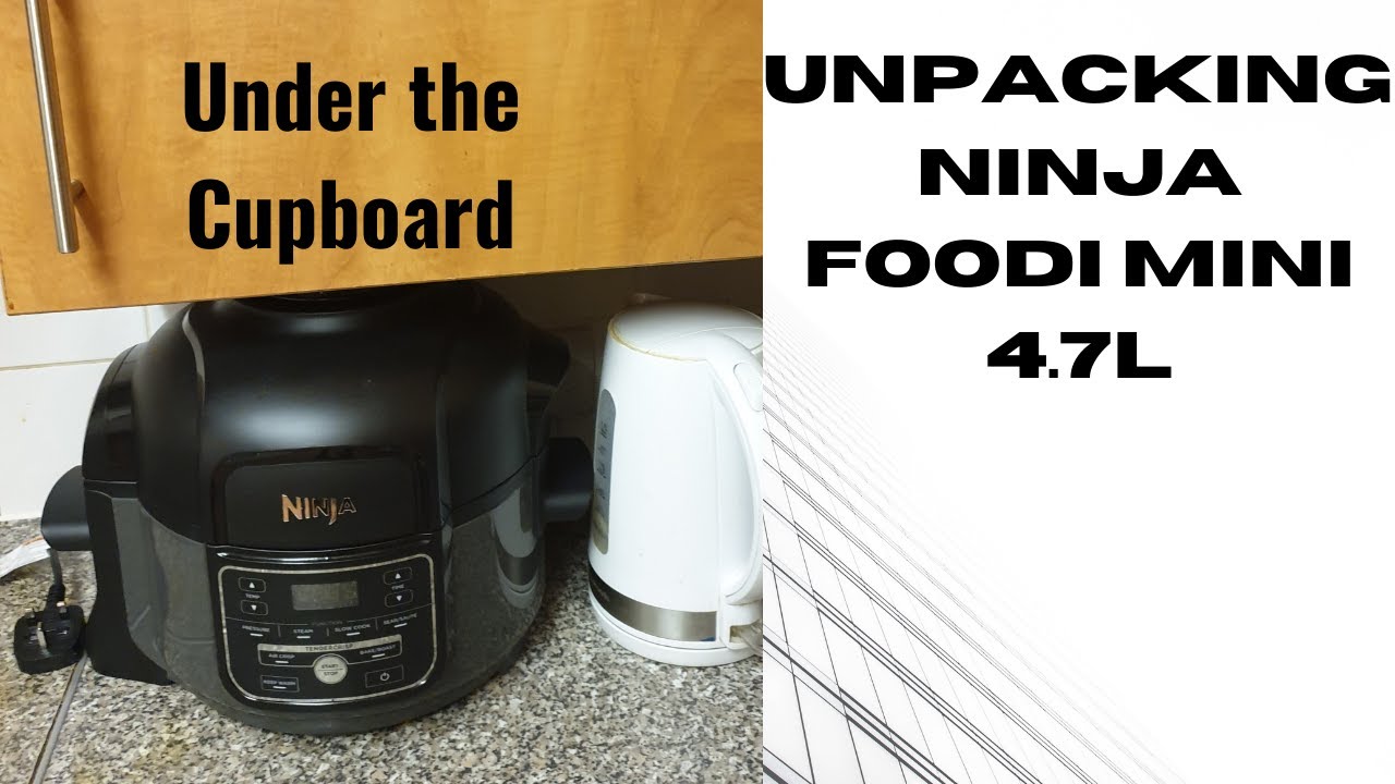 Ninja Foodi 5qt Mini Pressure Cooker & Air Fryer Combo 11 in 1 FD102Q QVC  Unboxing First Look & Cook 